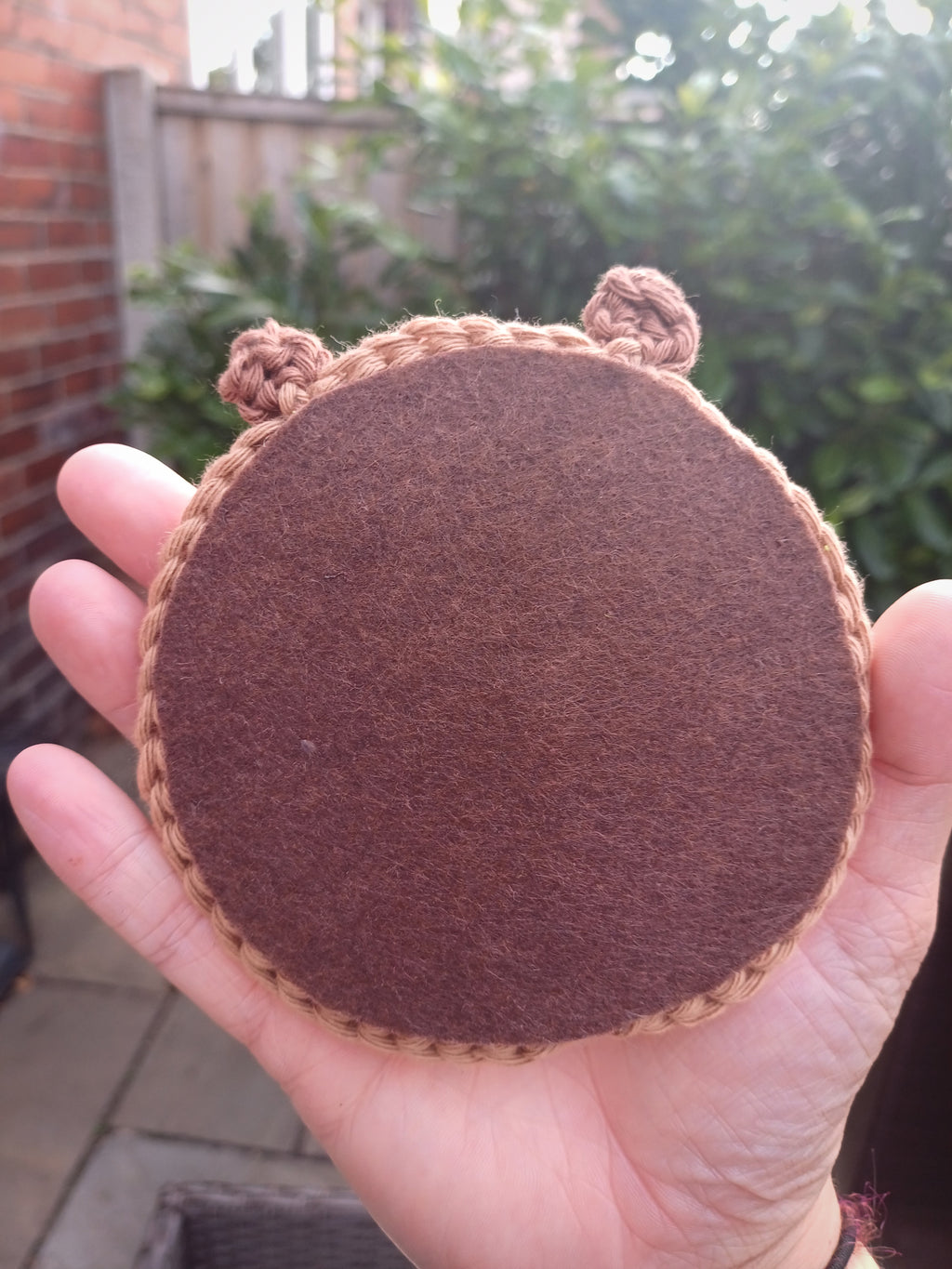 Capybara coaster