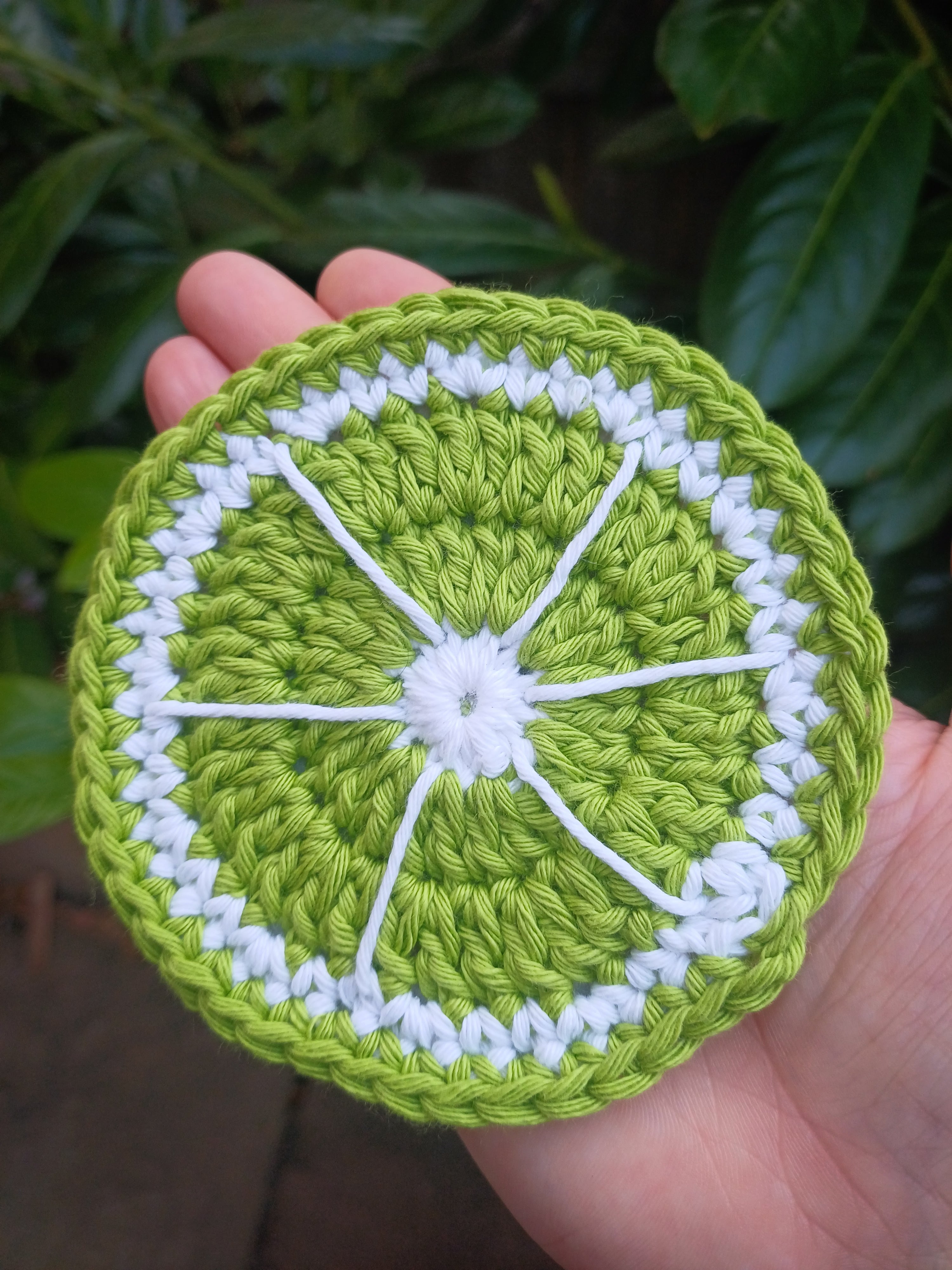 Lime slice coaster