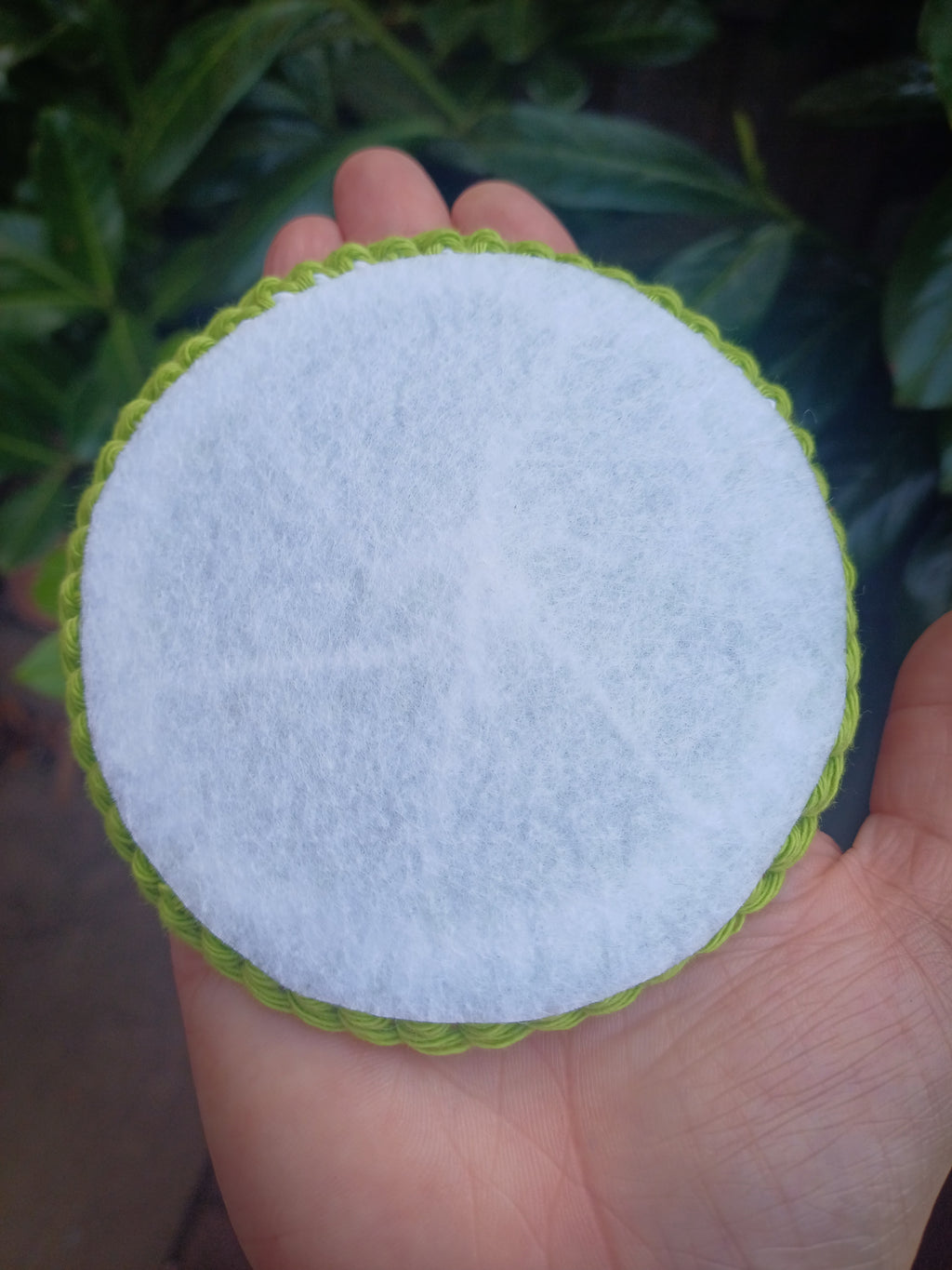 Lime slice coaster