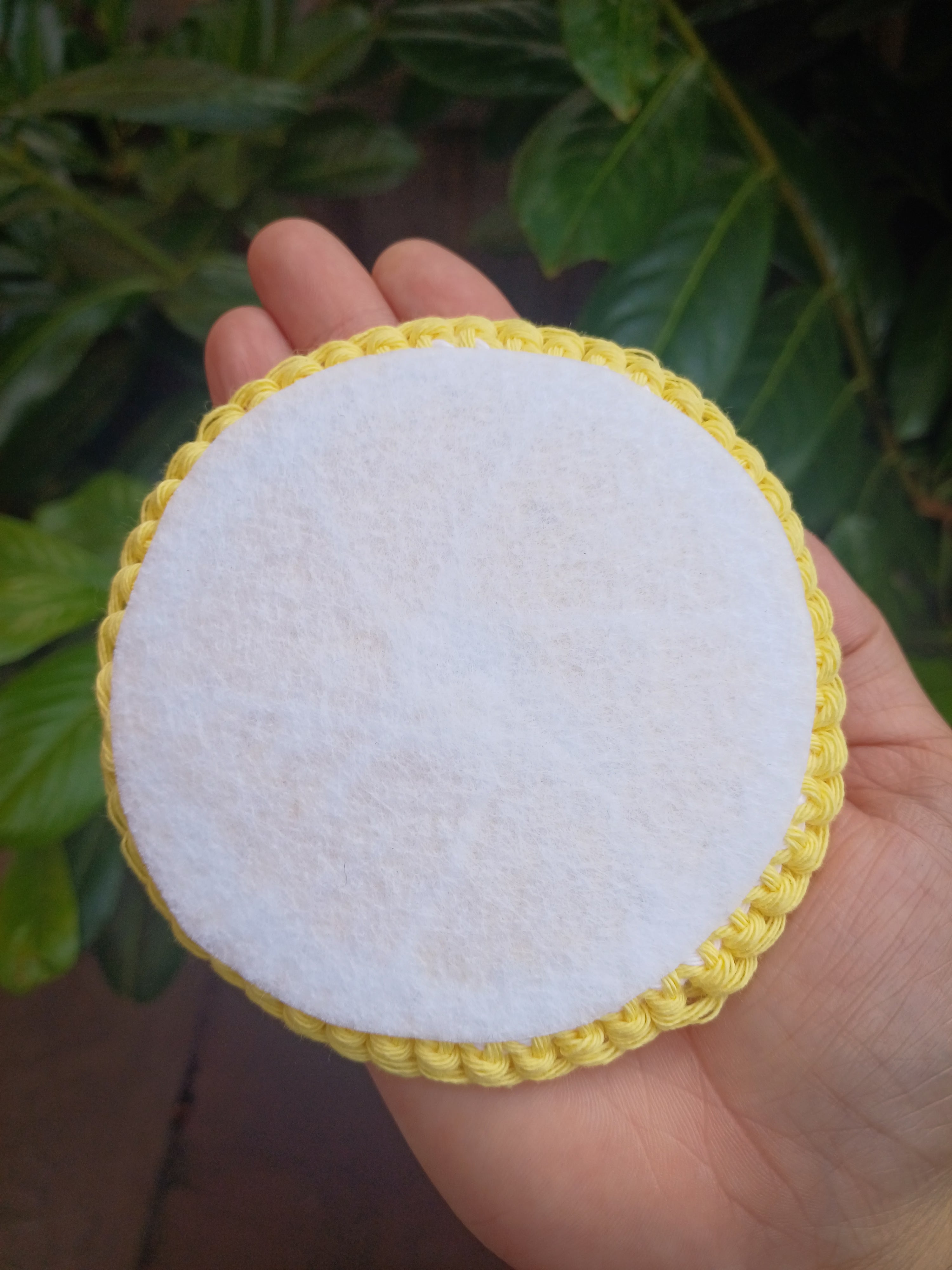 Lemon slice coaster