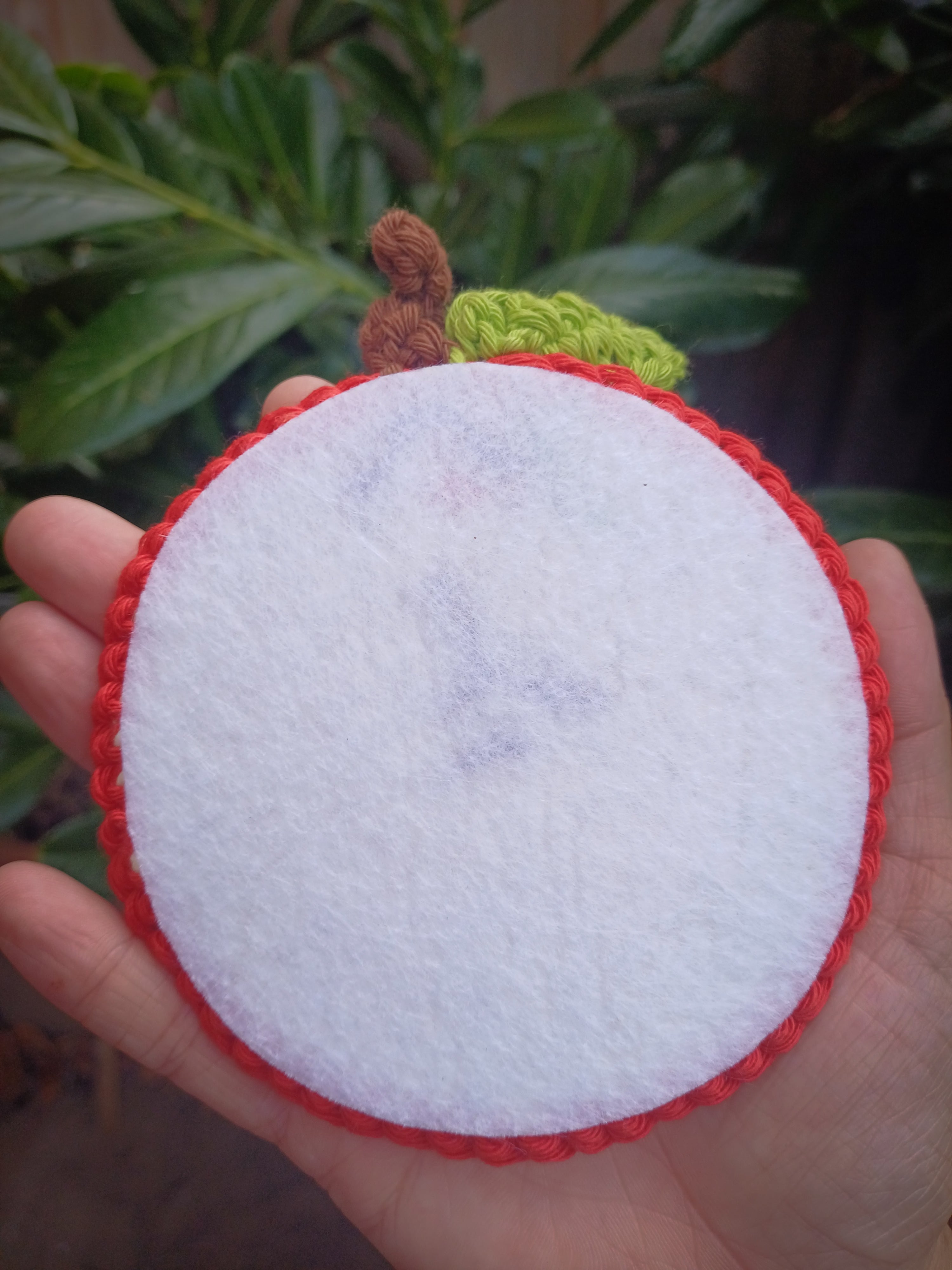 Apple coaster