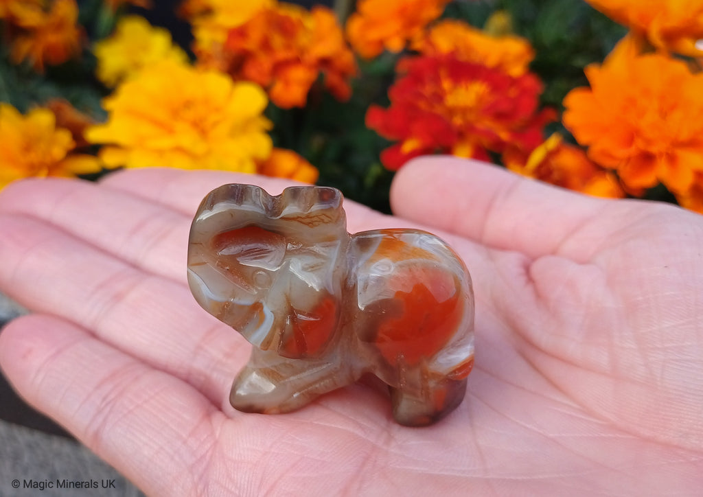 Agate Elephant