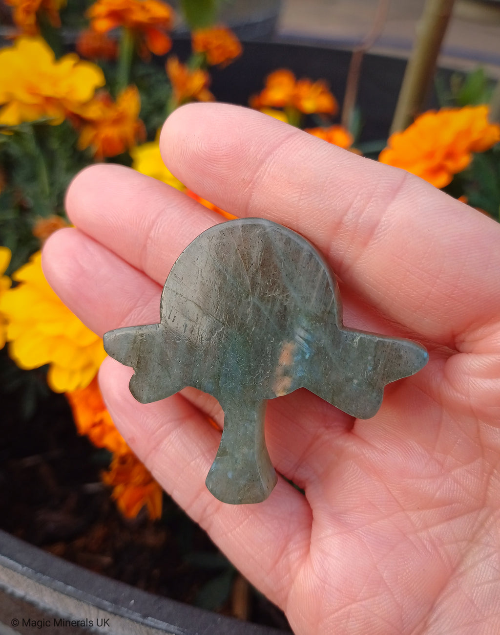 Labradorite fairy