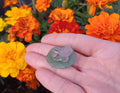 Frog on lilly pad Amethyst