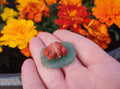 Frog on lilly pad Red jasper
