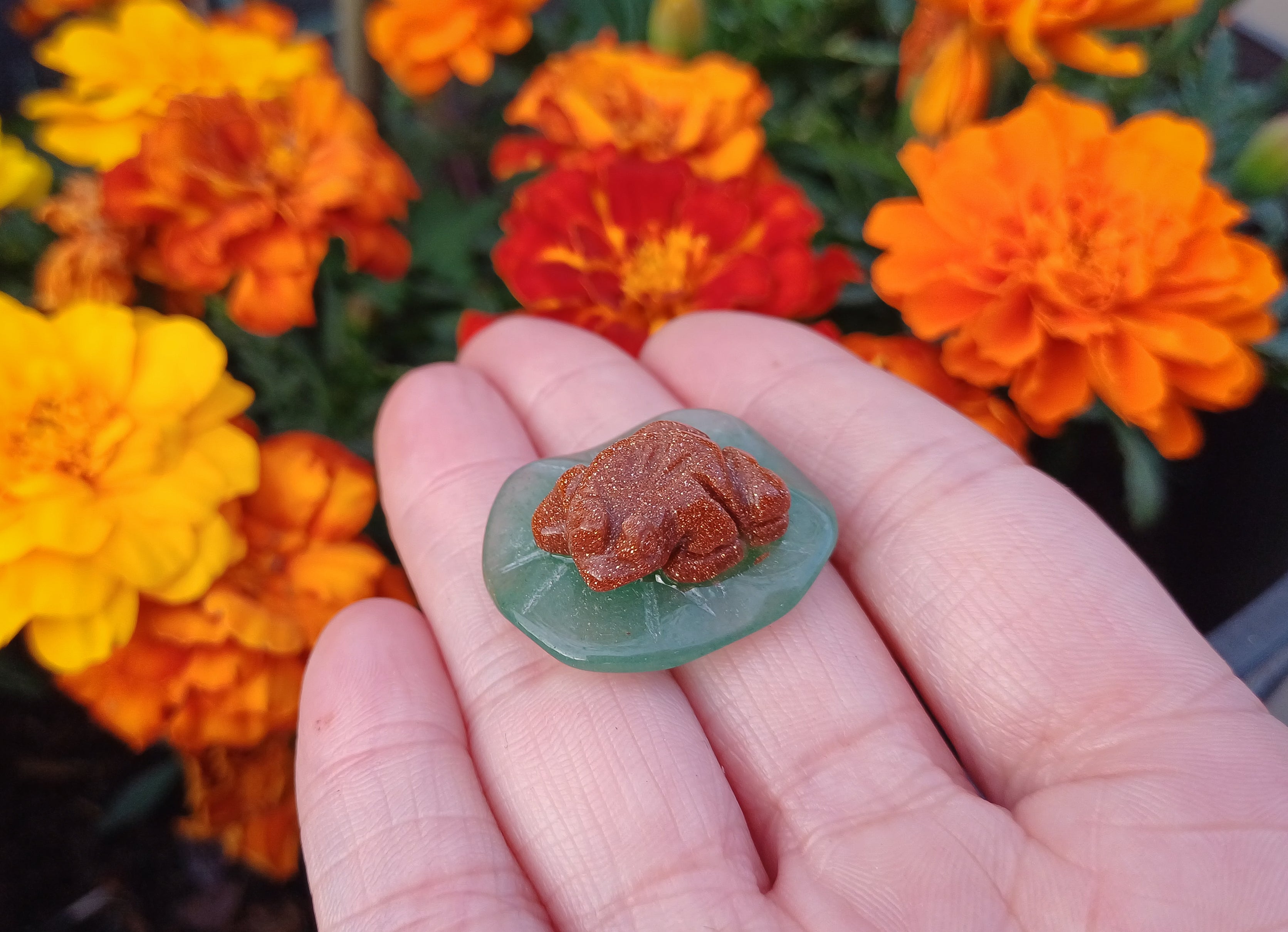 Frog on lilly pad Gold sandstone
