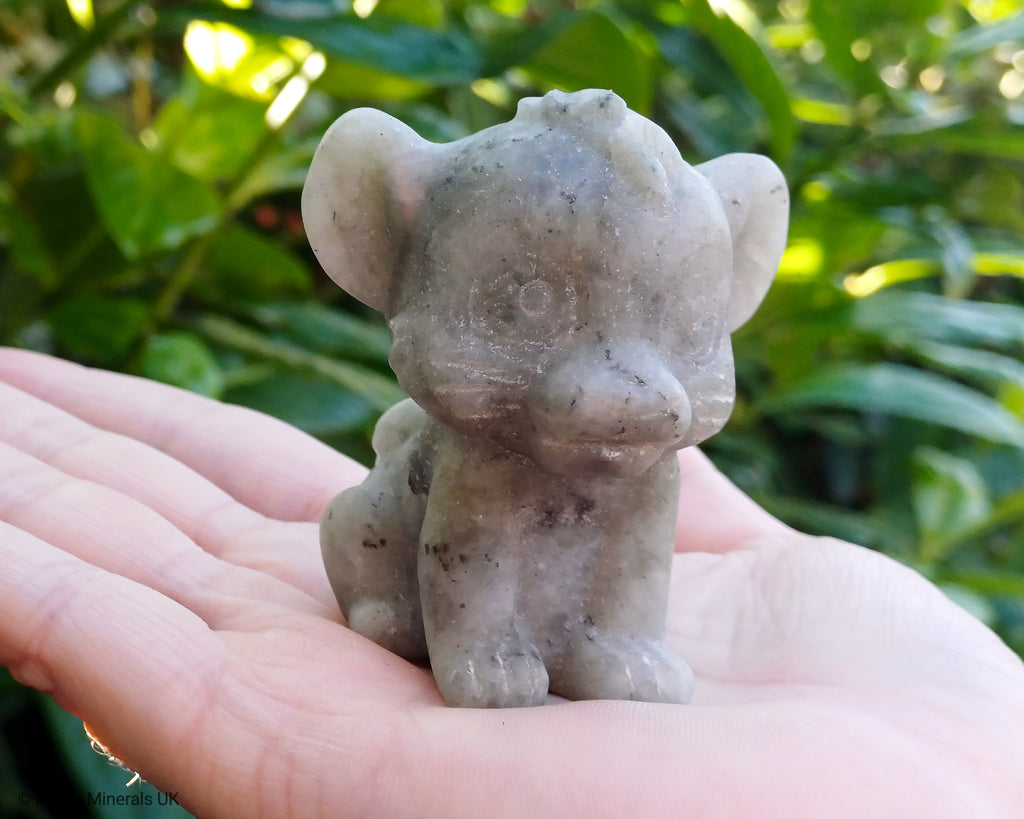 Labradorite simba
