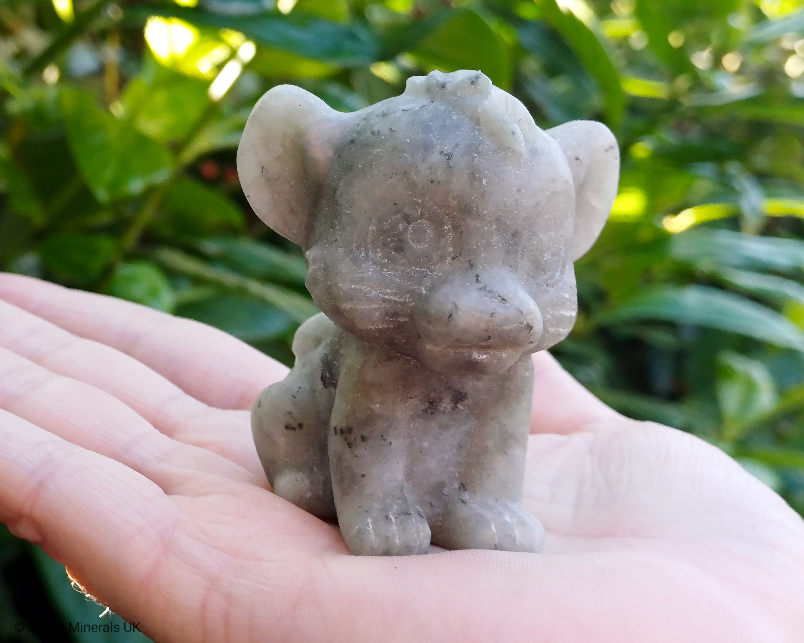 Labradorite simba