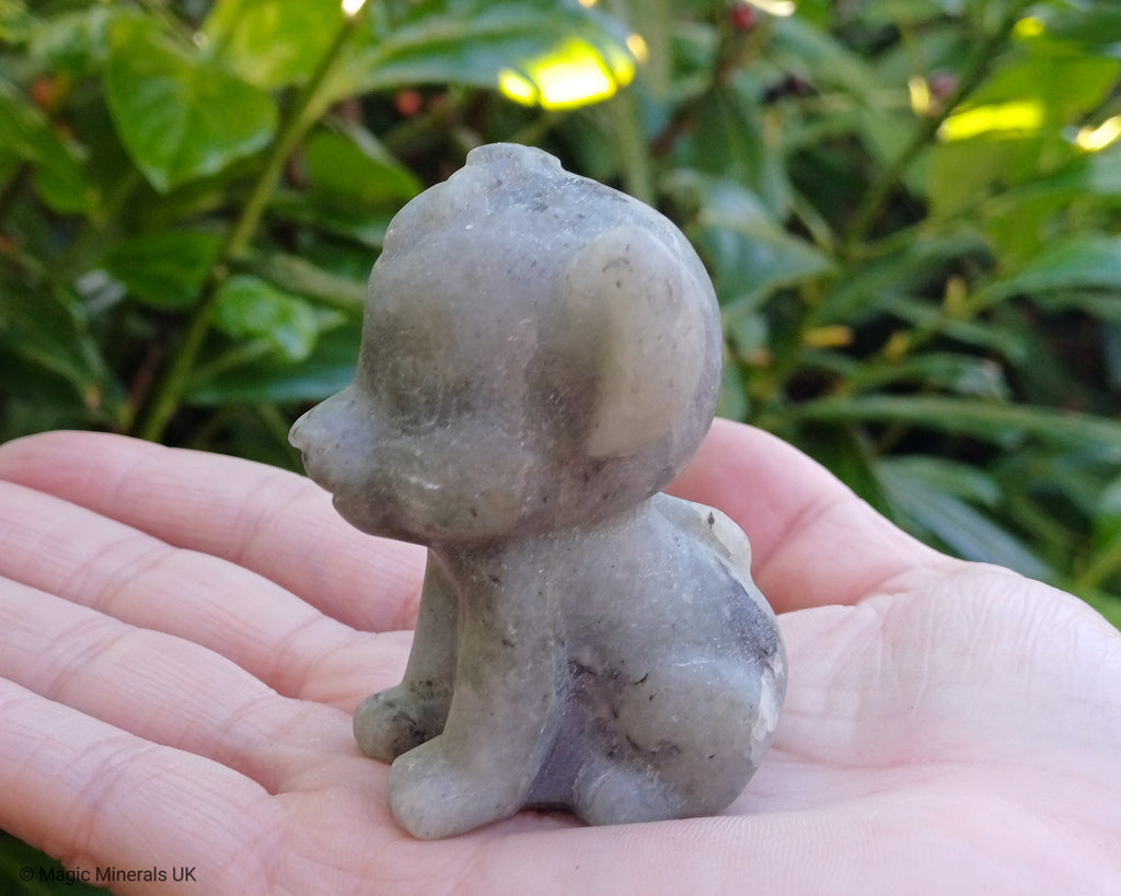 Labradorite simba