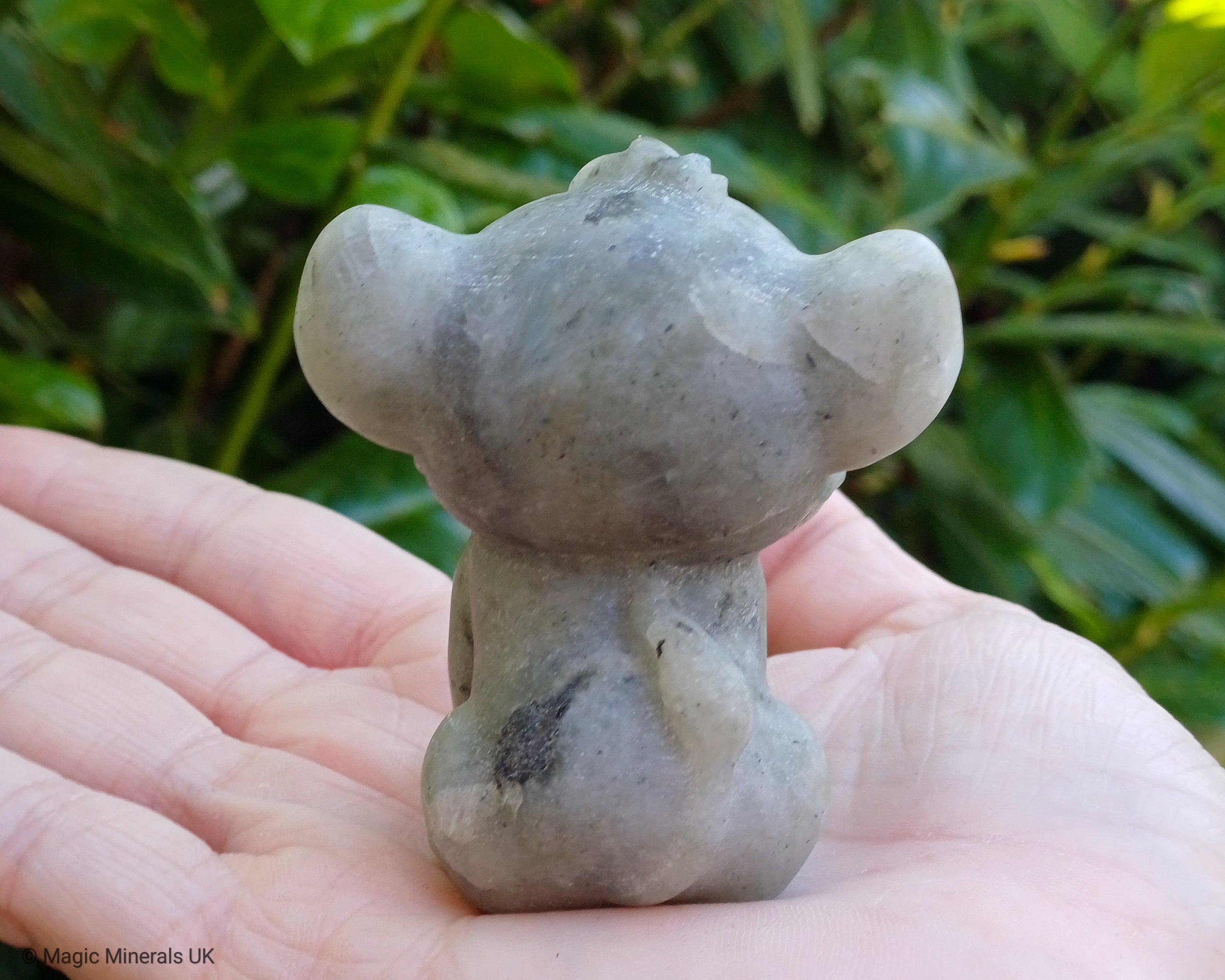 Labradorite simba