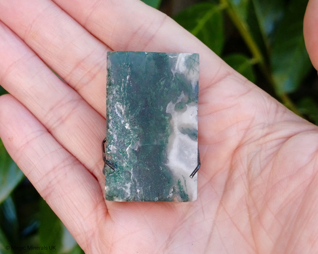 Moss agate pet rock