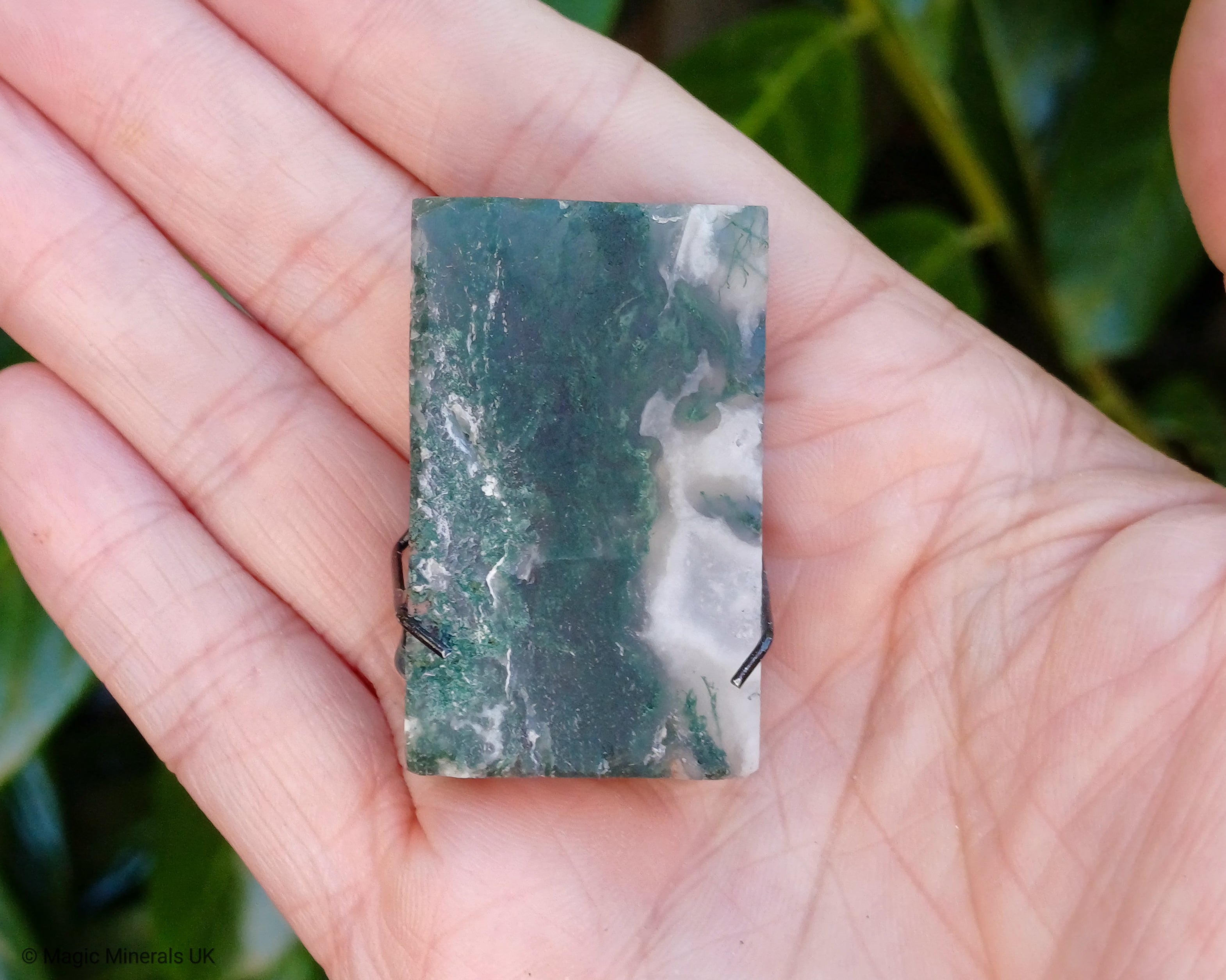 Moss agate pet rock