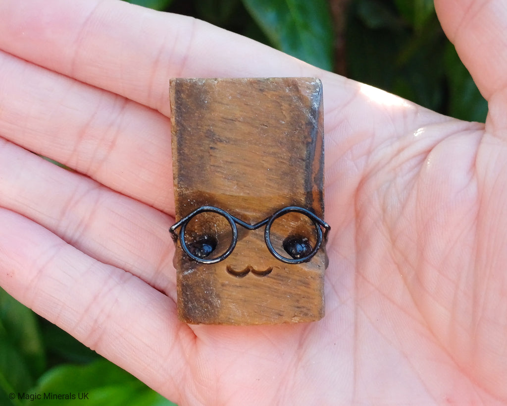Tigers eye pet rock