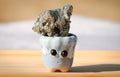 Pyrite Pet Rock