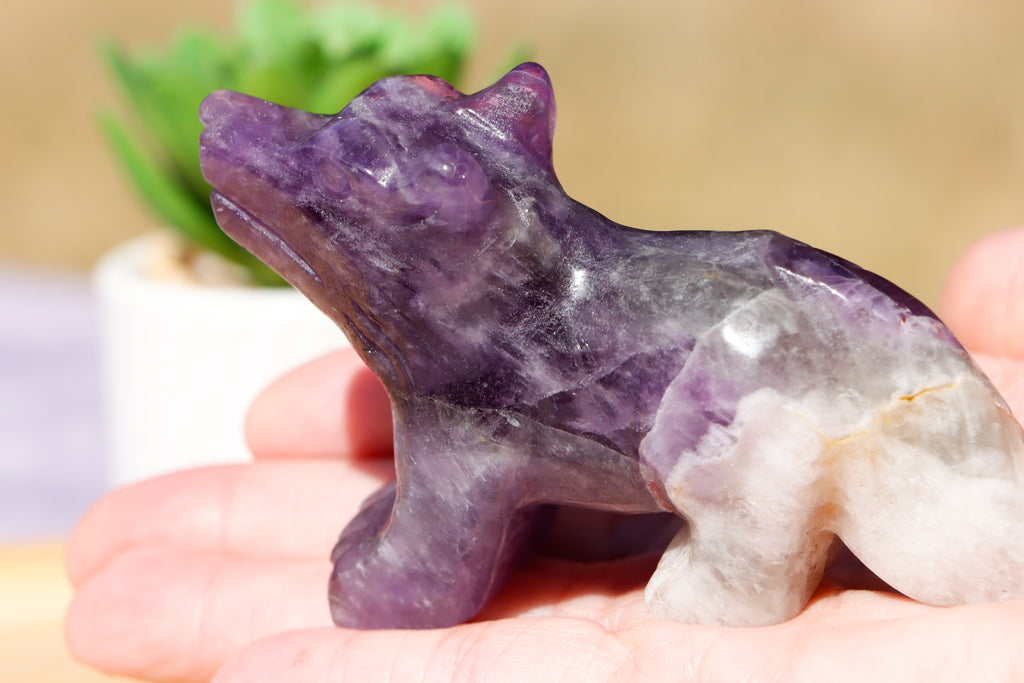 Amethyst wolf